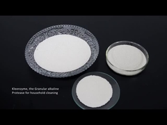 डिटर्जेंट एंजाइम प्रोटीज सेल्यूलेज एमाइलेज