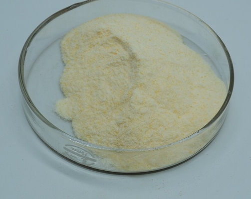 अच्छी कीमत 99% गतिविधि Xylanase एंजाइम खाद्य योज्य जल घुलनशील ऑनलाइन