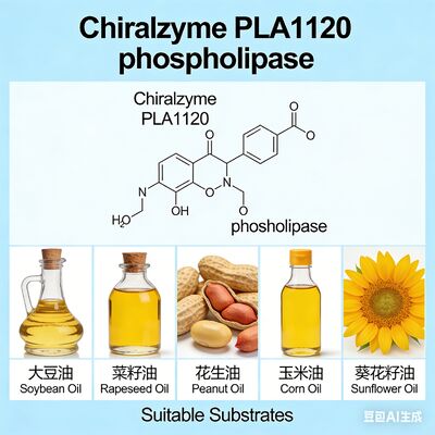 अच्छी कीमत Chiralzyme PLA1120 -- उच्च दक्षता वाले फॉस्फोलिपेज ए1 तेल डिगमिंग के लिए -- KDN ऑनलाइन