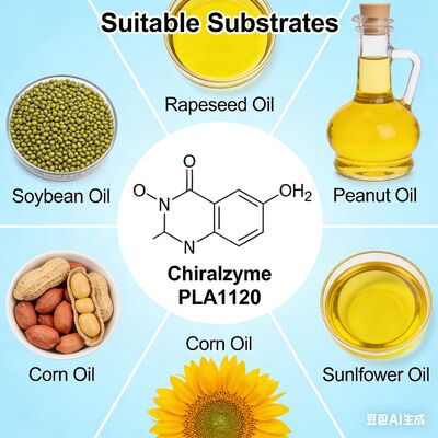 अच्छी कीमत KDN काइरलजाइम PLA1120: क्रूड ऑयल रिफाइनिंग के लिए सुपीरियर ऑयल डीगमिंग एंजाइम ऑनलाइन
