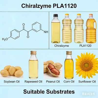 अच्छी कीमत Chiralzyme PLA1120। लागत बचत तेल शोधन के लिए खाद्य ग्रेड एंजाइम ऑनलाइन